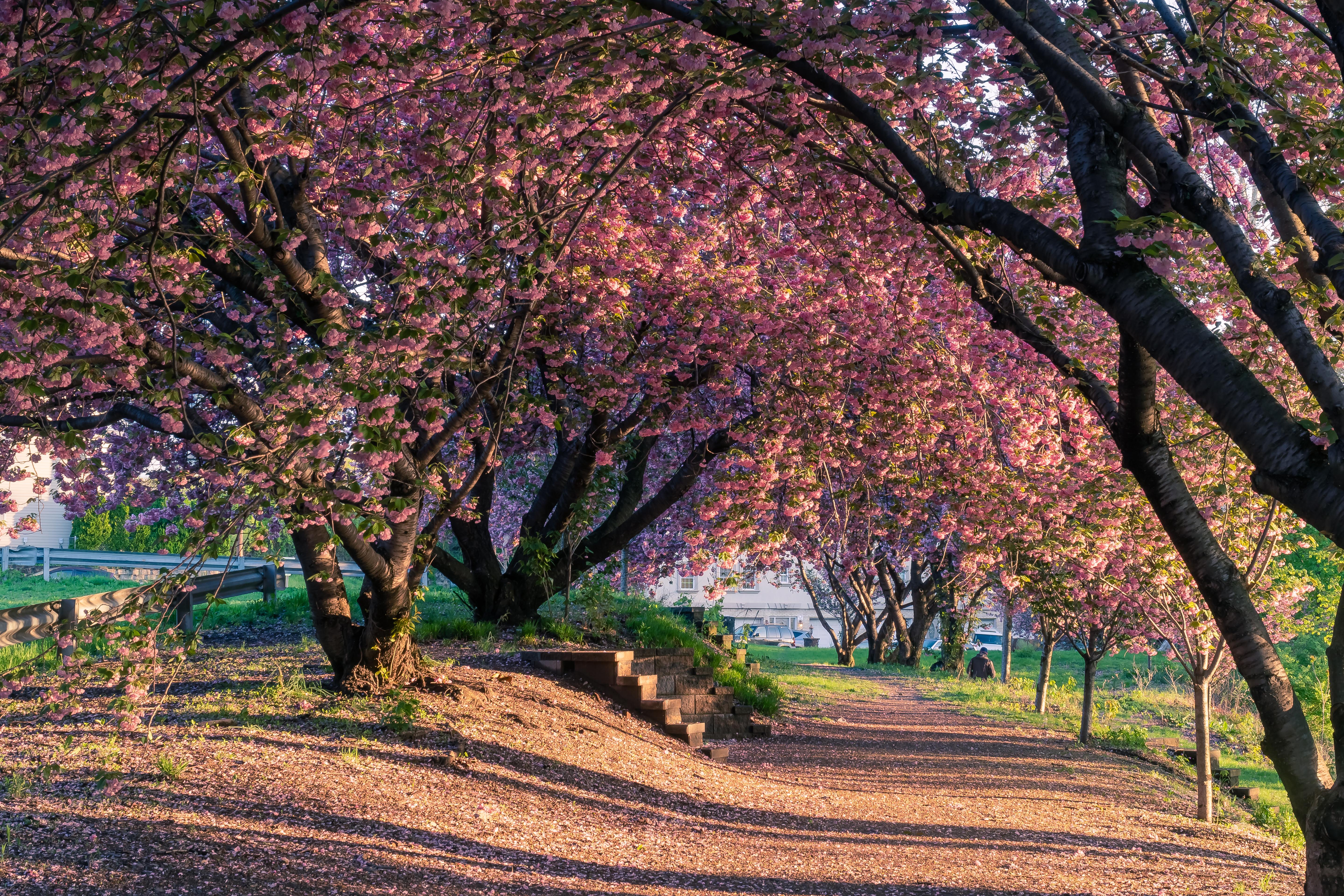 Paterson Great Falls National Historical Park