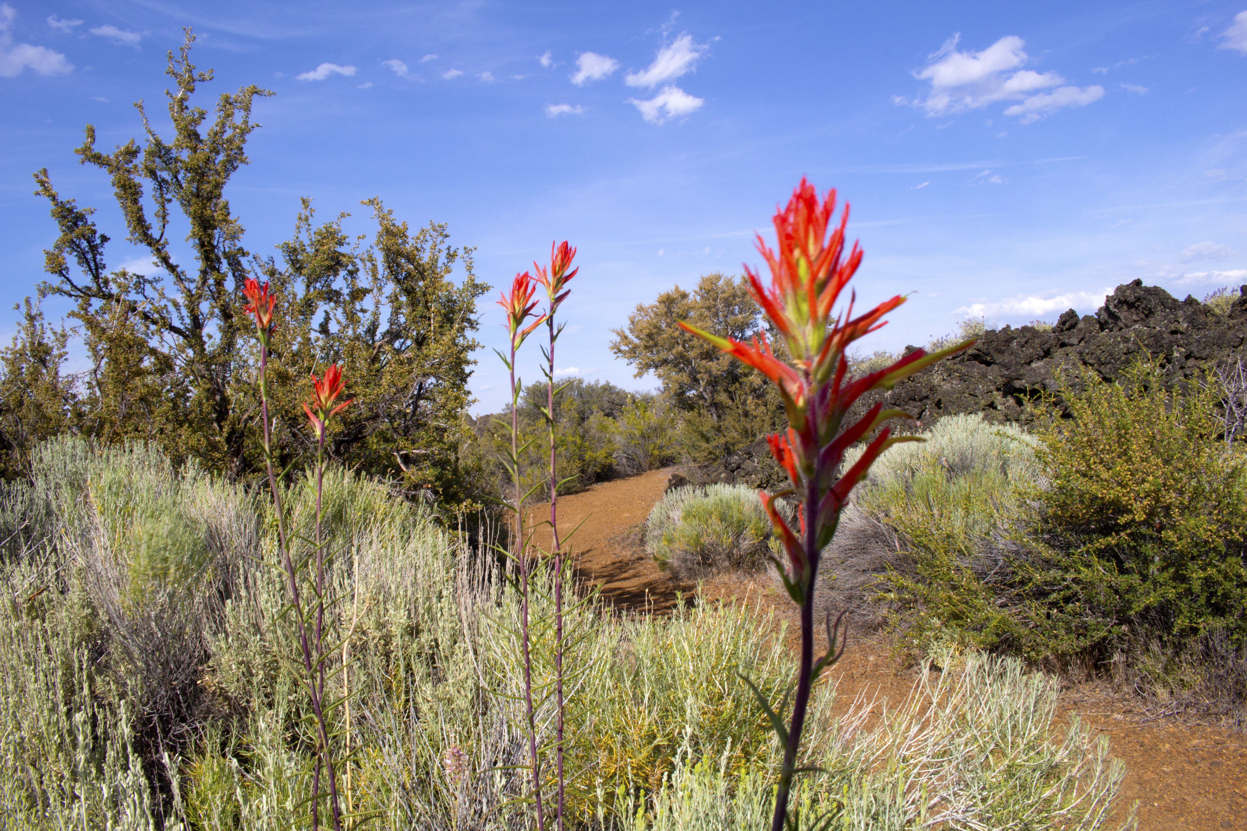 Lava Beds National Monument