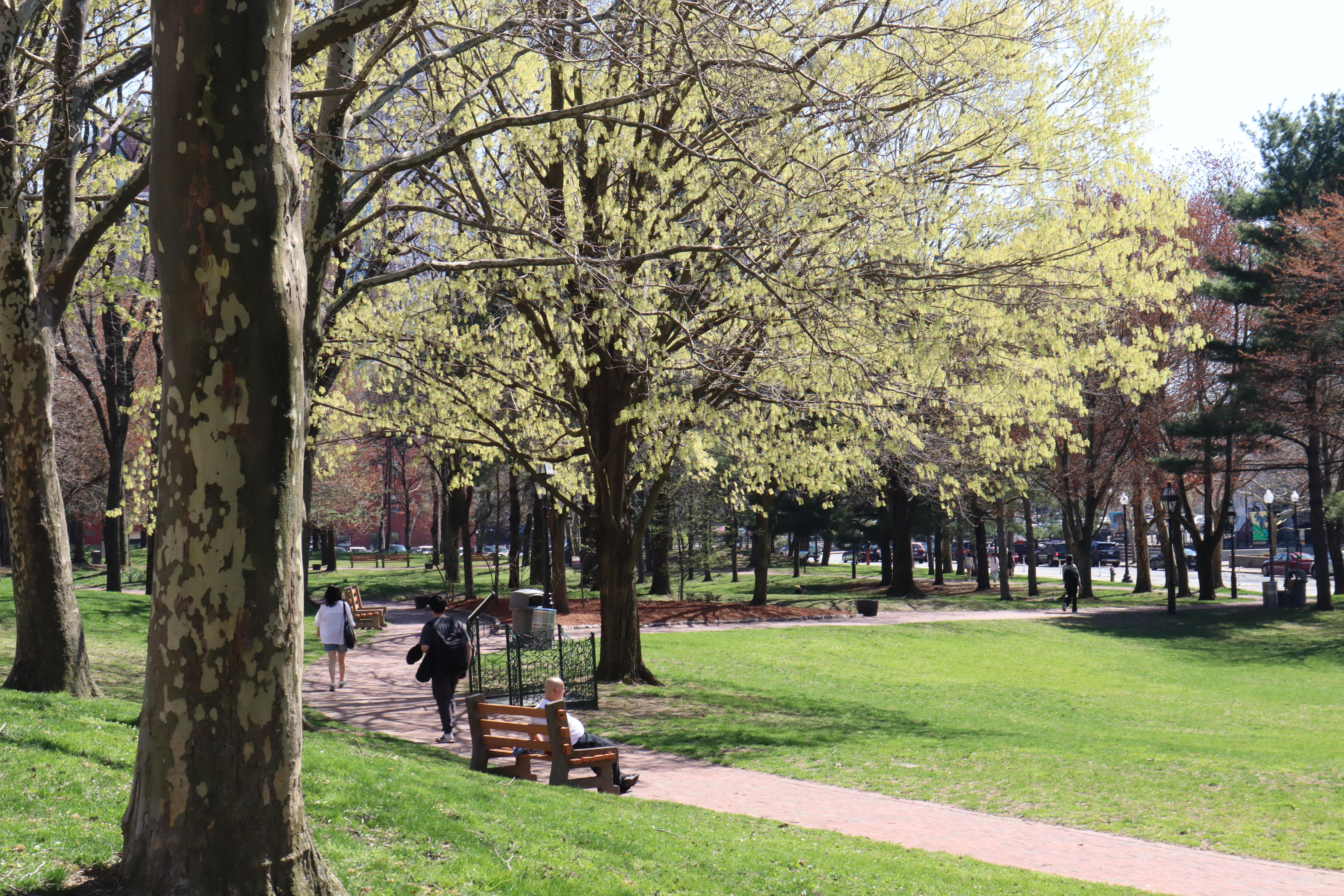 Roger Williams National Memorial