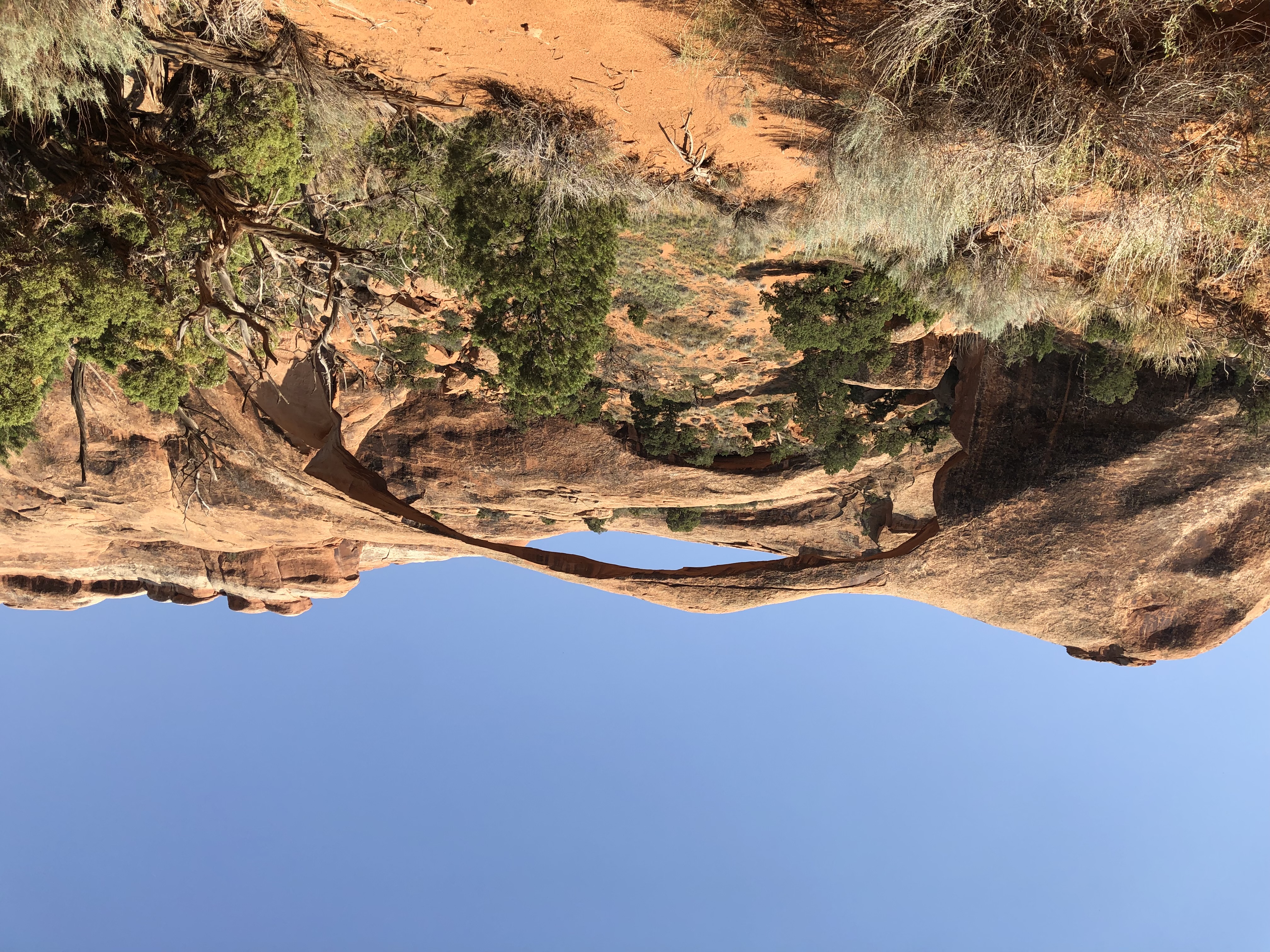 Arches National Park