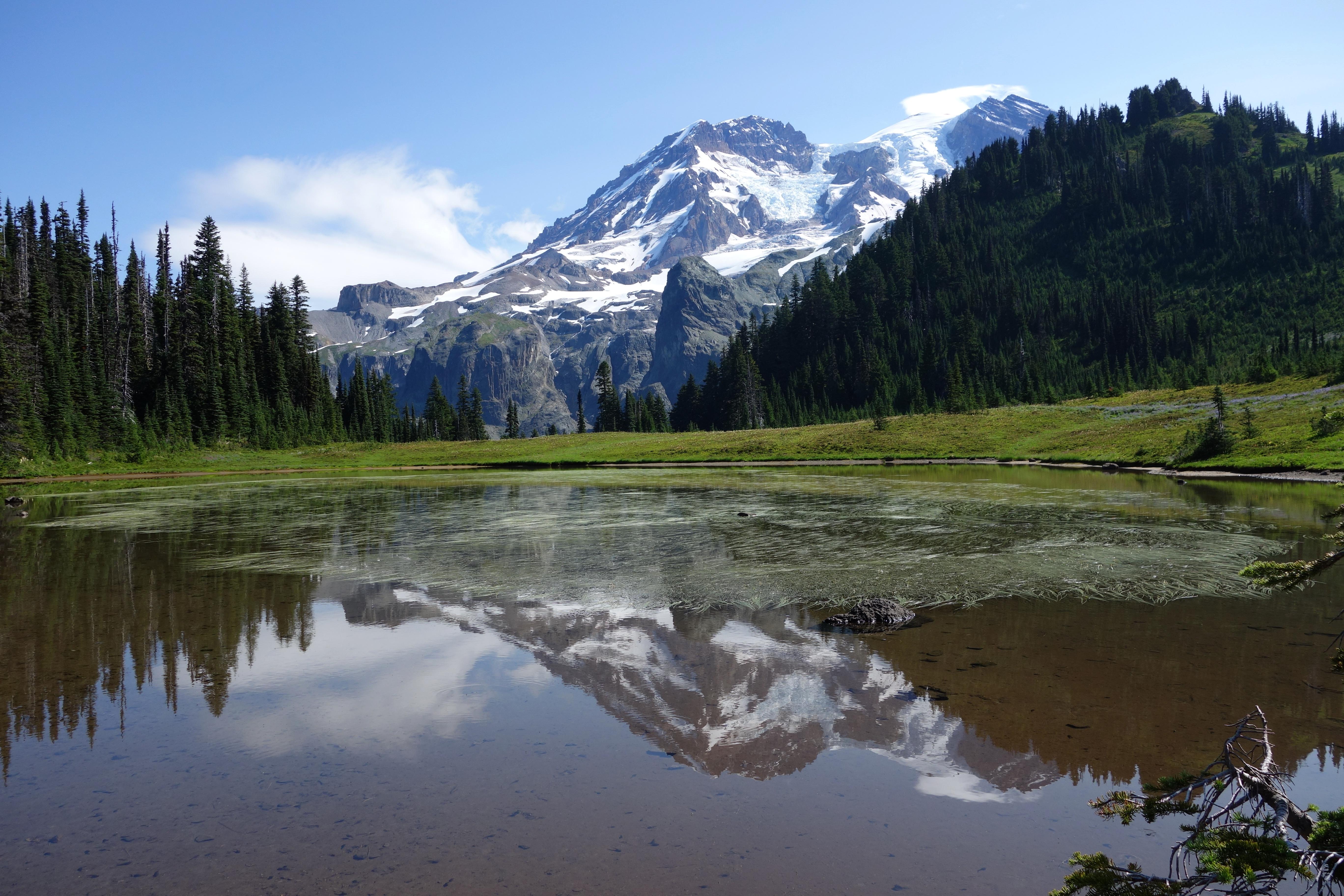 Mount Rainier National Park