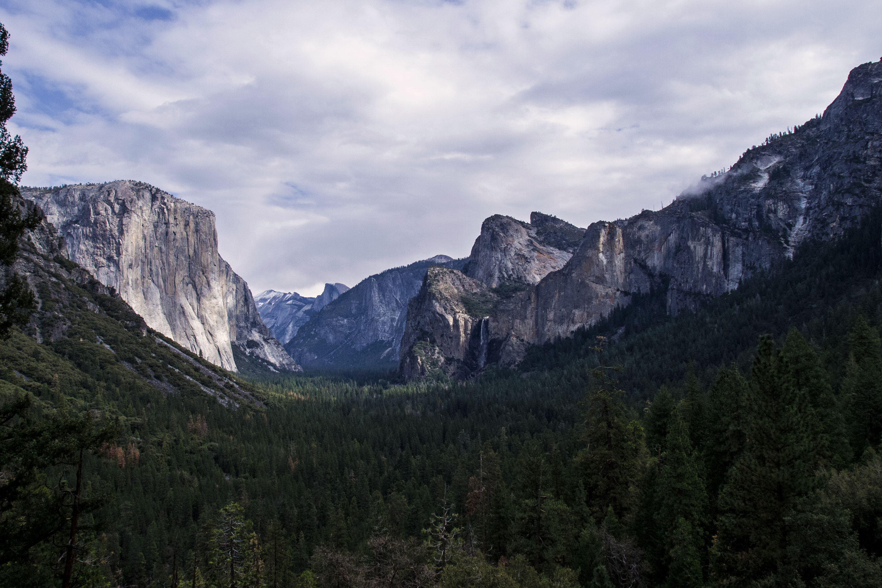 Yosemite National Park