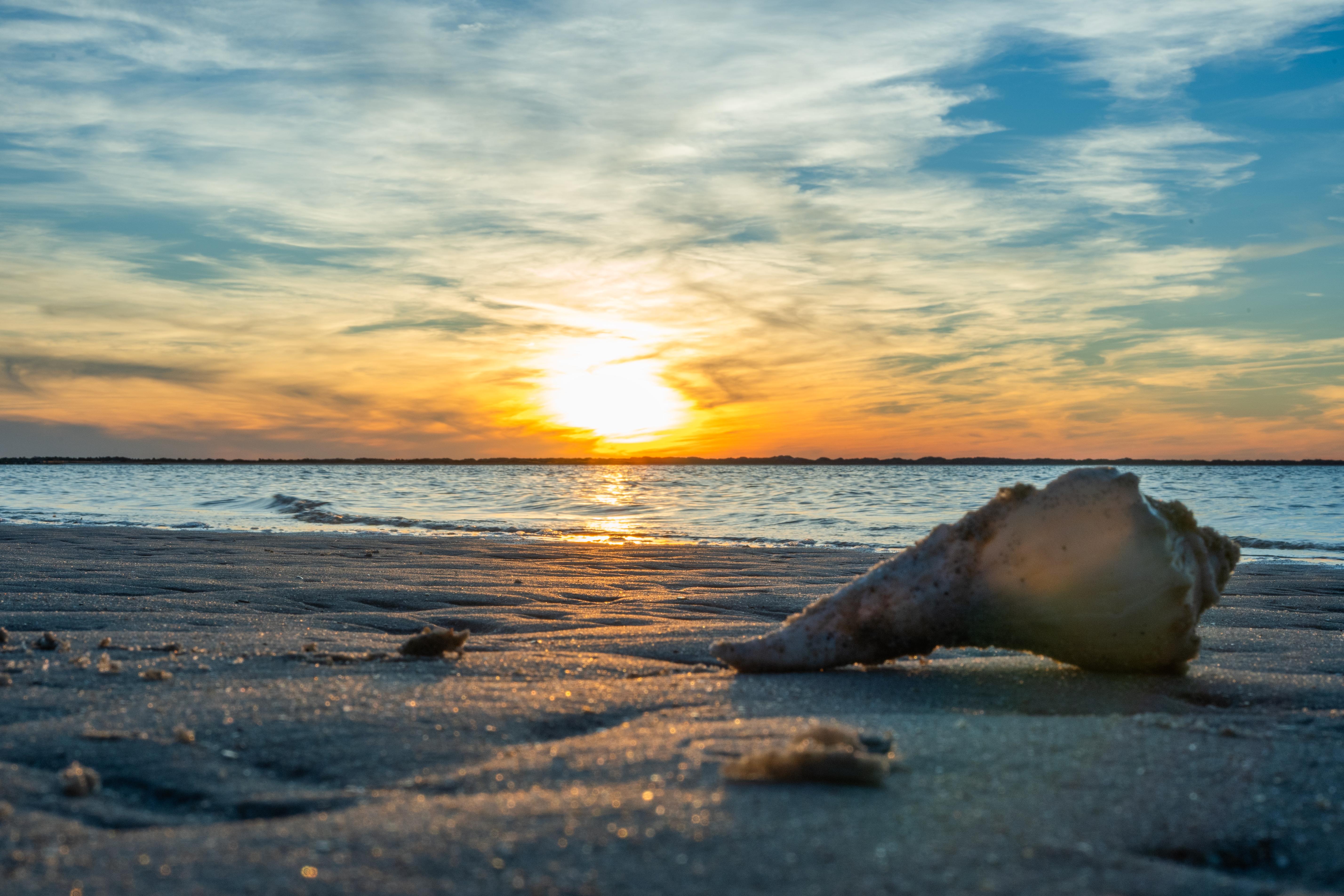 Cape Lookout National Seashore