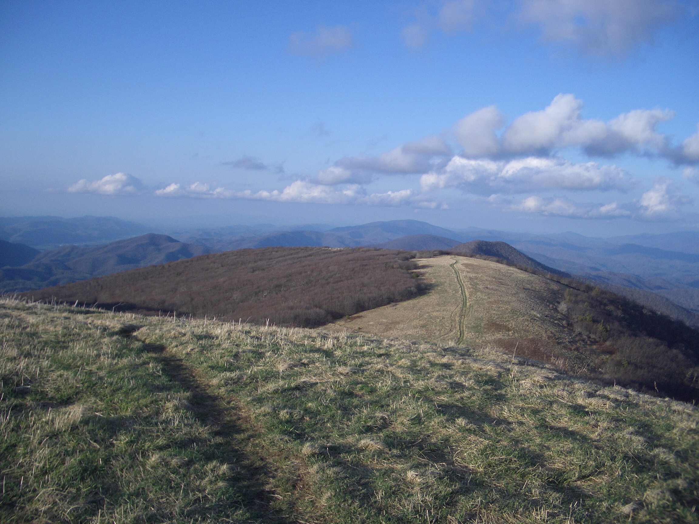 Appalachian National Scenic Trail