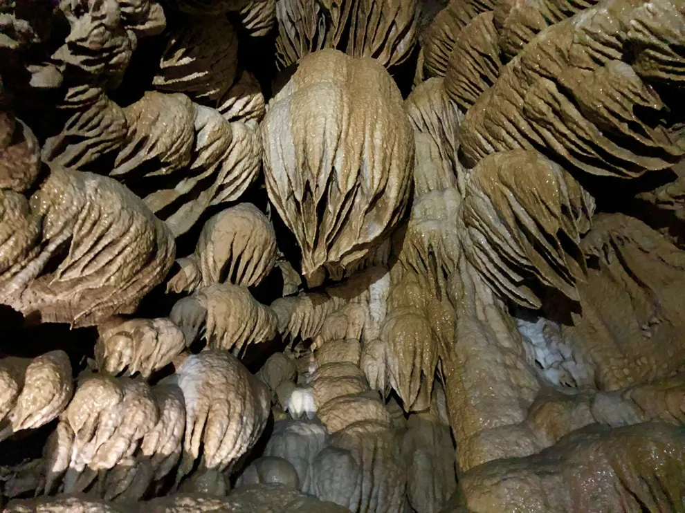 Oregon Caves National Monument and Preserve