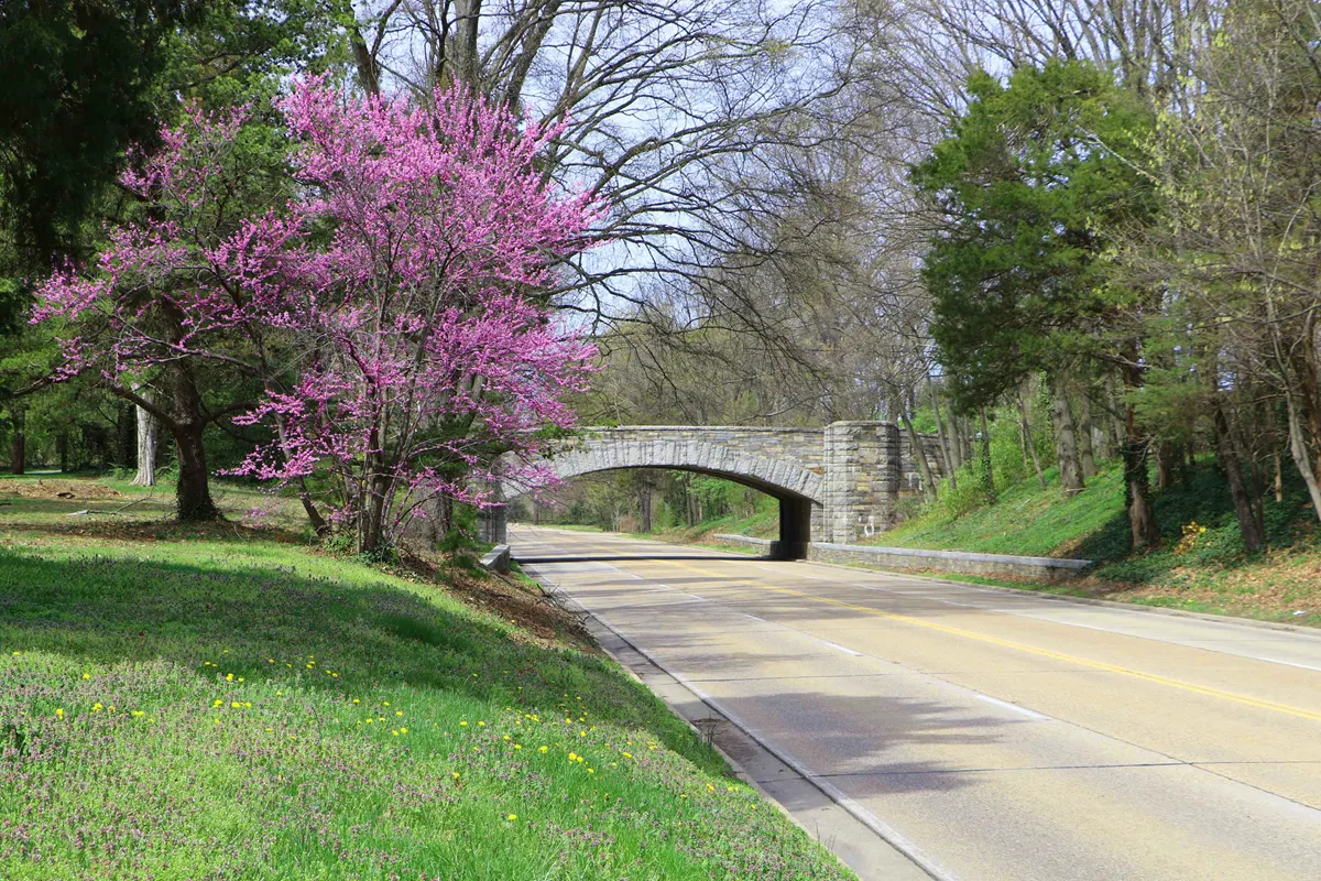 George Washington Memorial Parkway, District of Columbia, Maryland