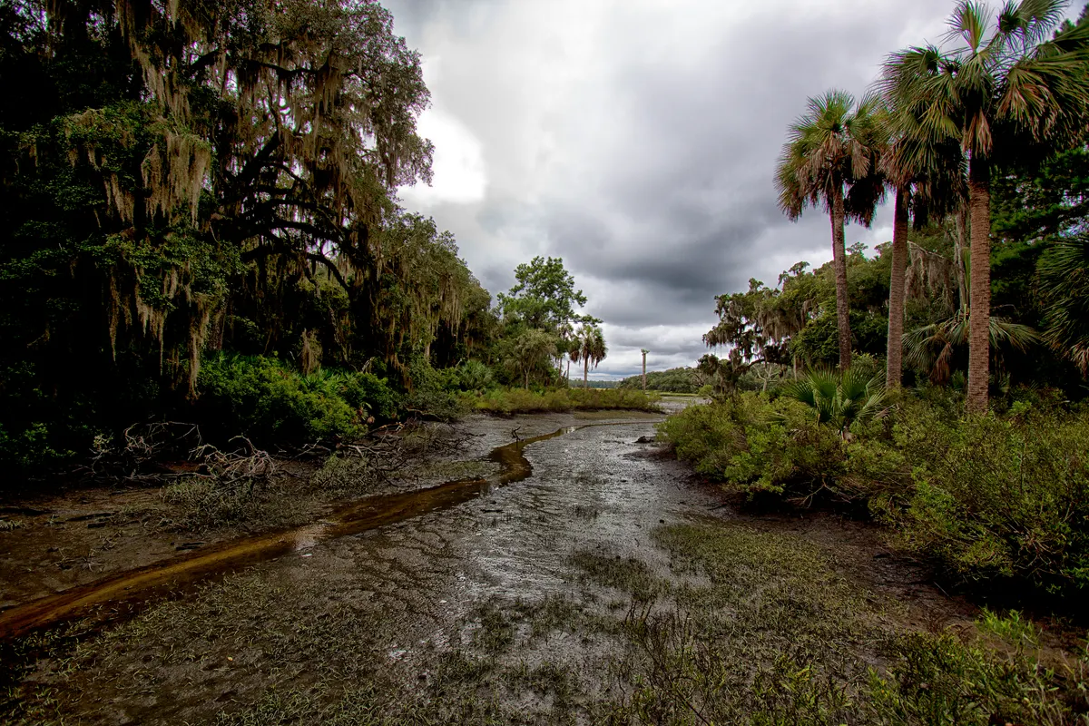 Cumberland Island National Seashore