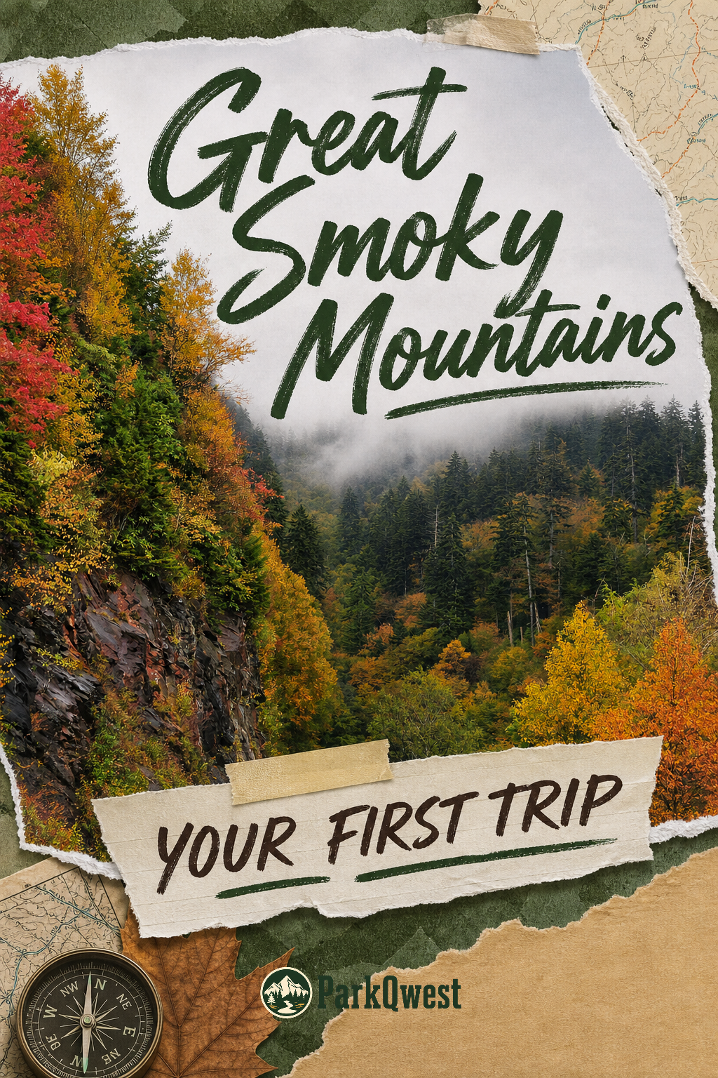 Wisps of fog hang over the forests in the mountains.