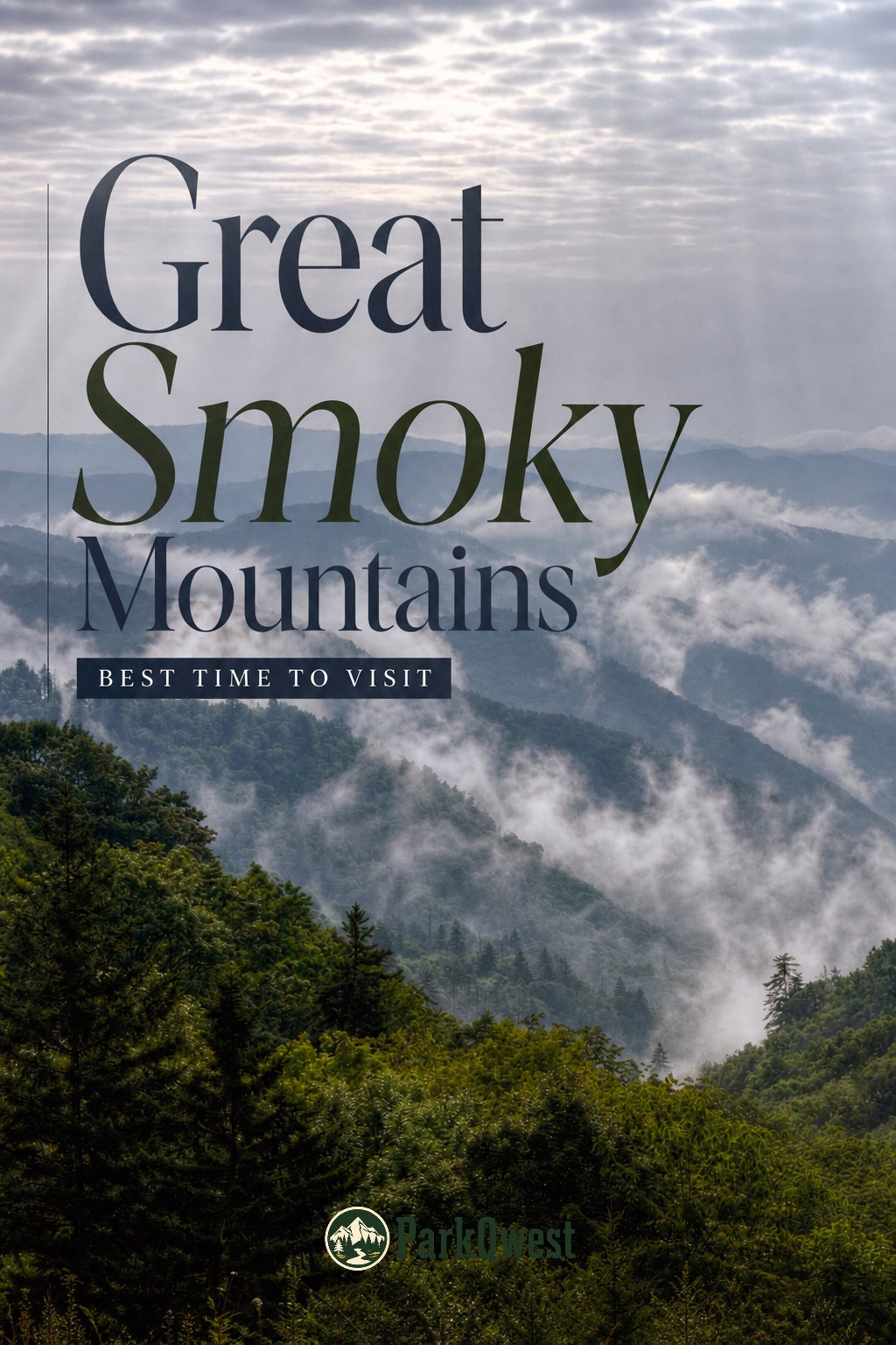 Wisps of fog hang over the forests in the mountains.