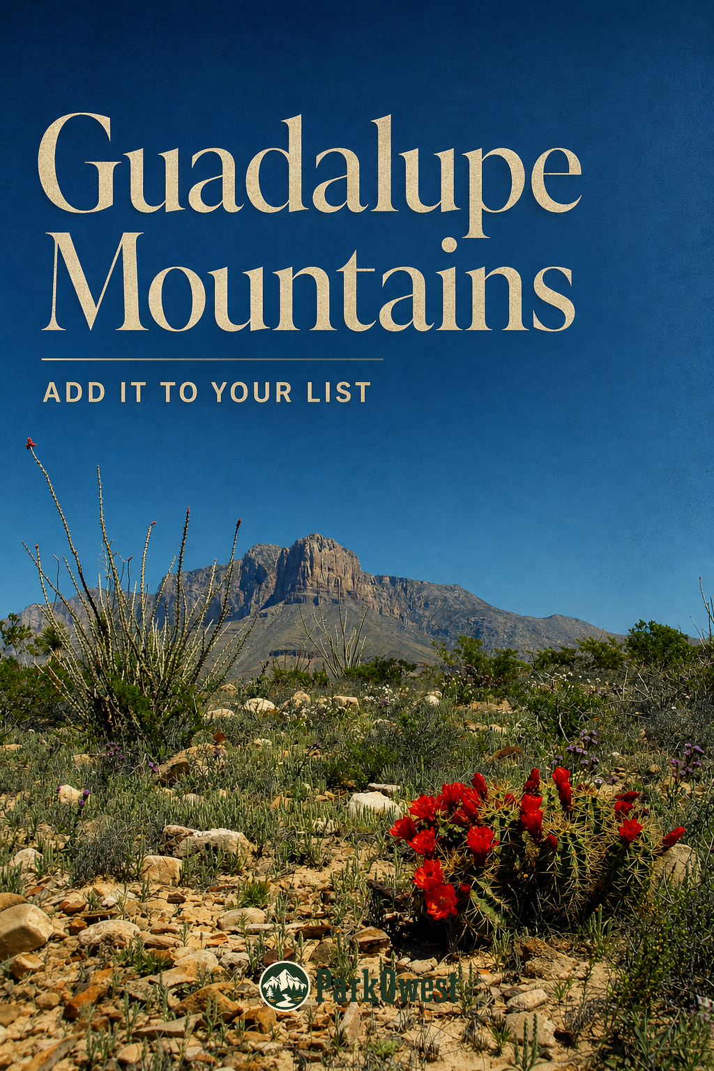 El Capitan with blooming claret cup cacti