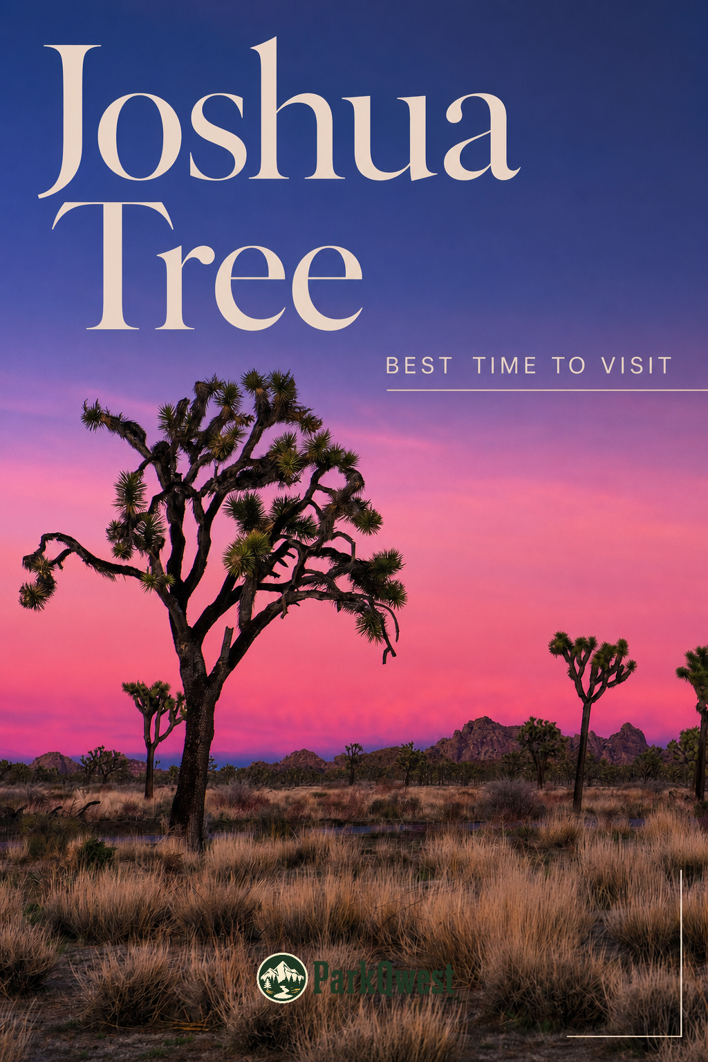 The sky turns hues of pink and purple over a field of Joshua trees.
