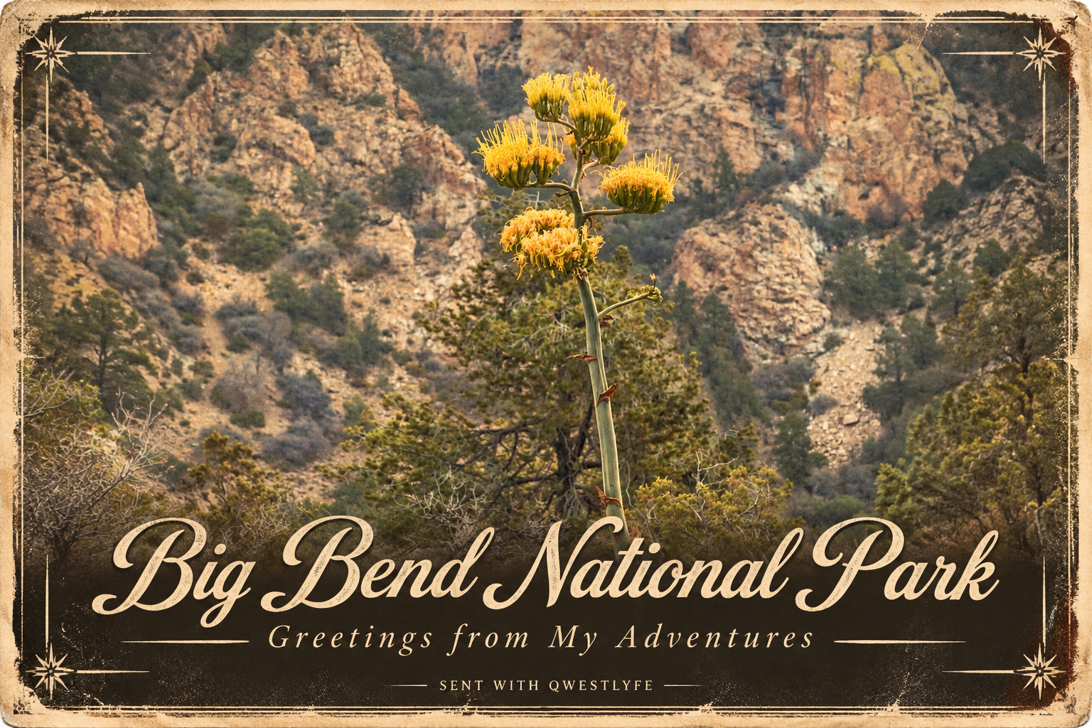 Postcard front